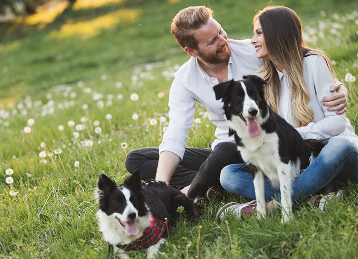 Couple with dogs